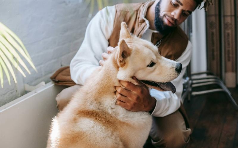 a person holding a dog