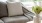 sunlight pours through a large window in furnished living room